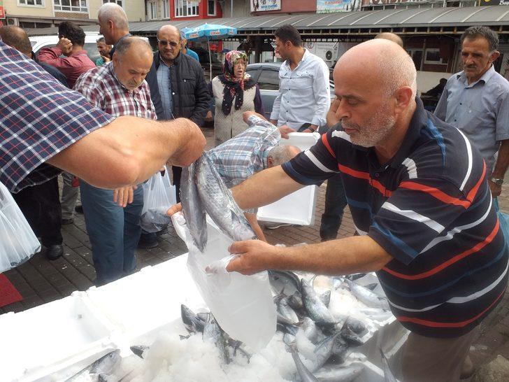 Zonguldak'ta palamut bolluğu fiyatlara yansıdı G4