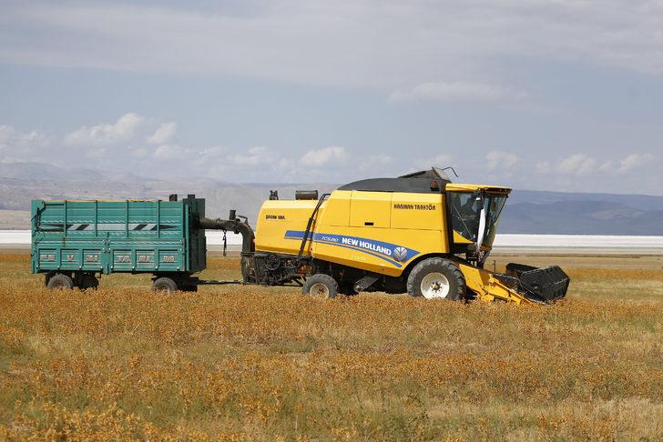 Kayseri’de lise öğrencilerinin 100 dekar alana ektiği aspirin hasadı yapıldı G2