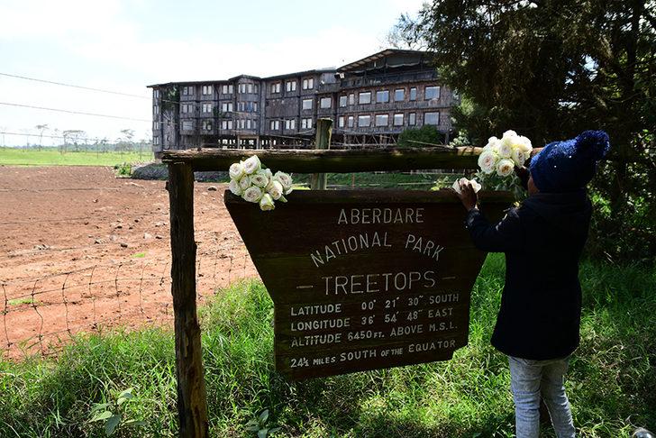 Elizabeth'in prenses olarak gelip kraliçe olarak ayrıldığı Kenya'daki otel: Treetops G2