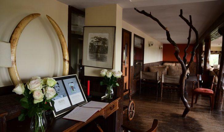 Elizabeth'in prenses olarak gelip kraliçe olarak ayrıldığı Kenya'daki otel: Treetops G5