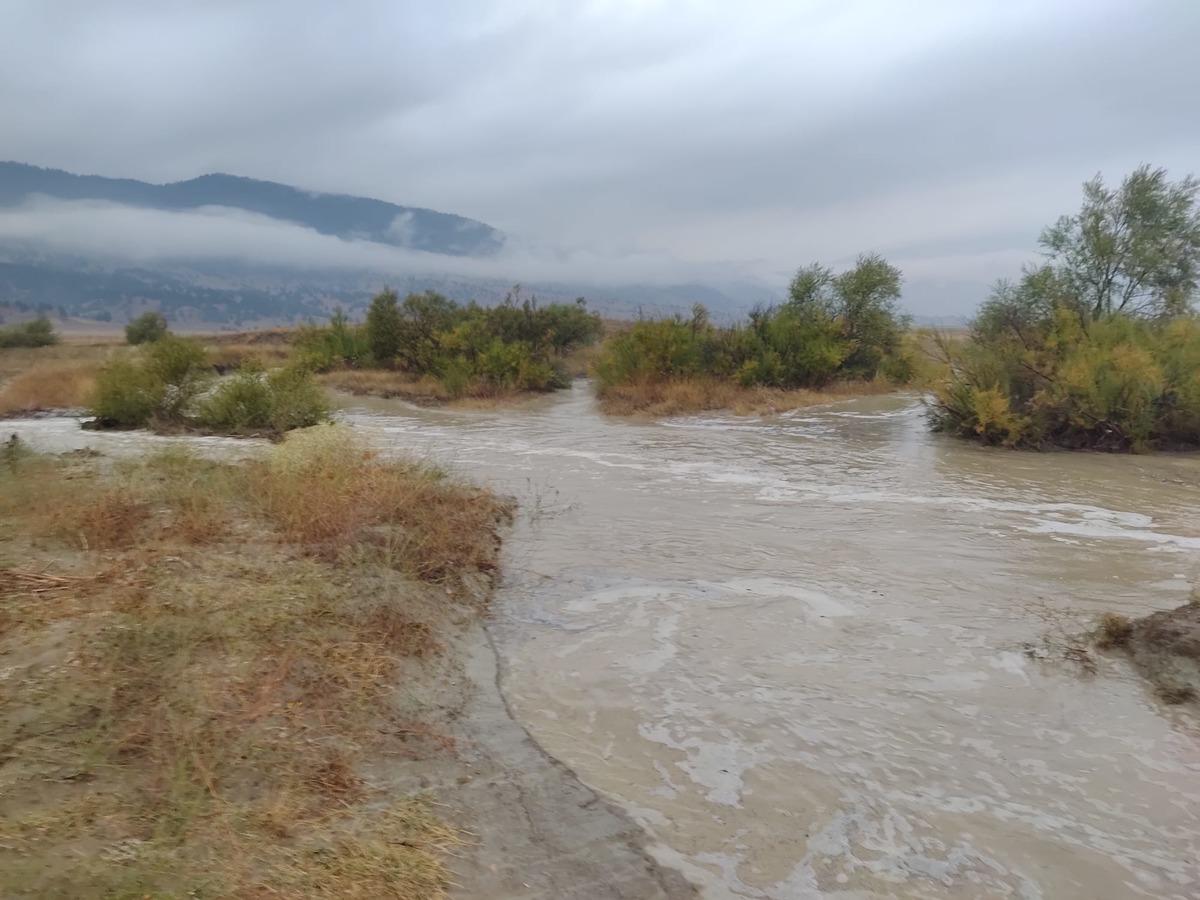 Kahramanmaraş'ta 45 arı kovanı sele kapıldı