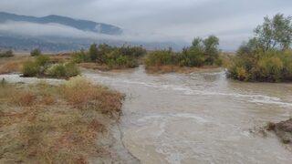 Kahramanmaraş'ta 45 arı kovanı sele kapıldı