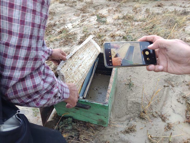 Kahramanmaraş'ta 45 arı kovanı sele kapıldı G3