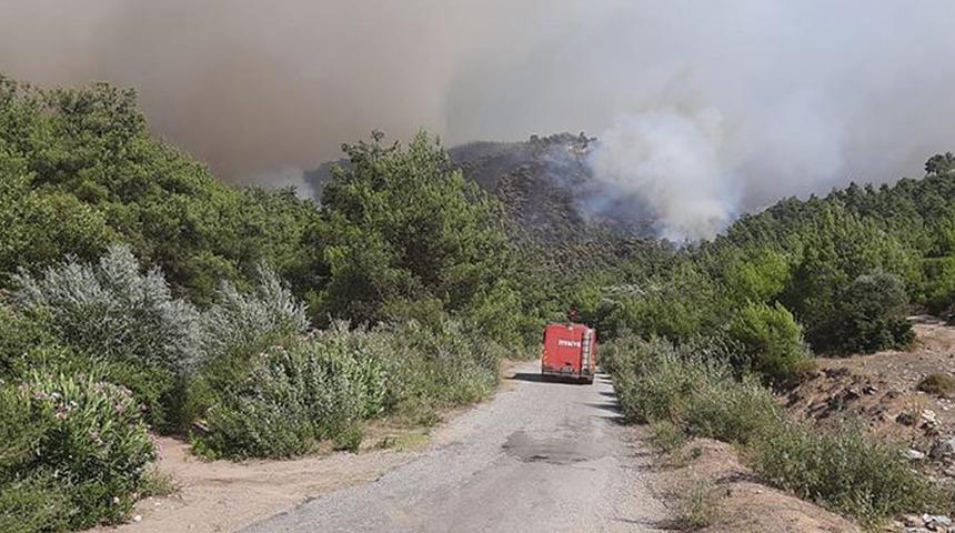 Orman yangınında kundaklama şüphesi! Ekipler kıskıvrak yakaladı