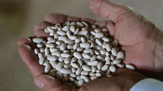 2022 kuru fasulye alım fiyatları açıklandı! İşte üreticilerin dikkat etmesi gerekenler