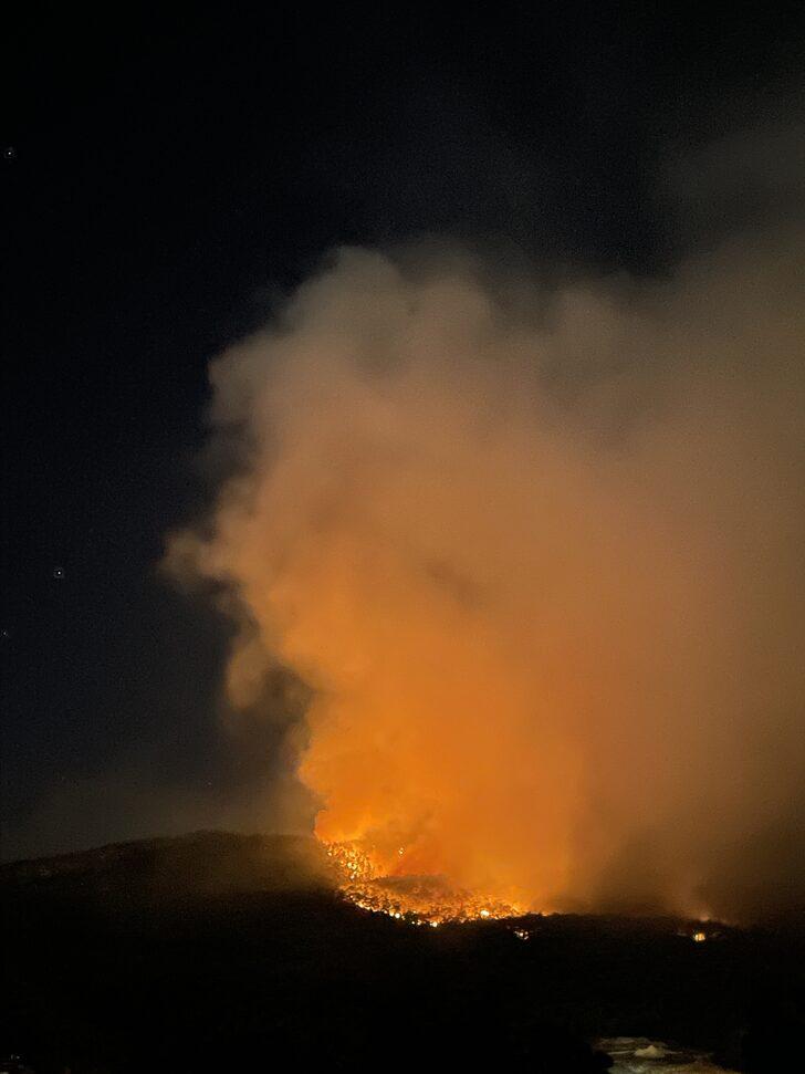GÜNCELEME - Muğla'da çıkan orman yangınına müdahale ediliyor G2