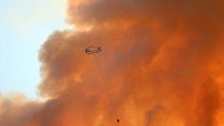 GÜNCELLEME 2 - Muğla'da çıkan orman yangınına müdahale ediliyor