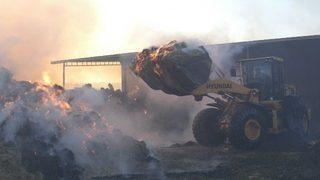 10 bin balya alev alev yandı