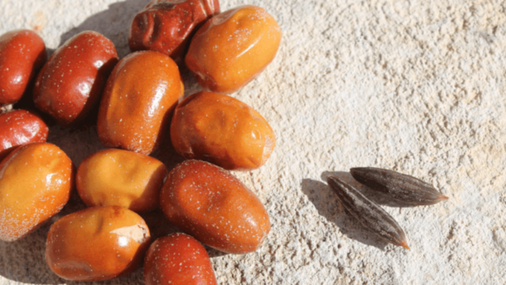 İğdenin faydaları saymakla bitmiyor: Kendi küçük ama etkisi büyük!  G2