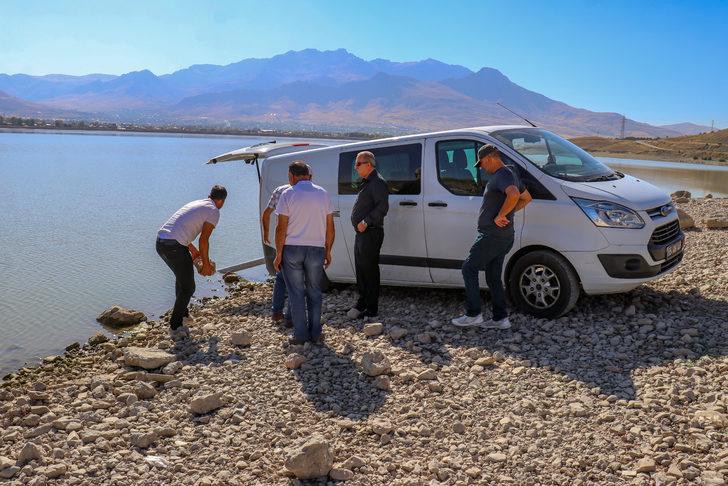 Van'da göl ve göletlere 1 milyon sazan yavrusu bırakıldı G1
