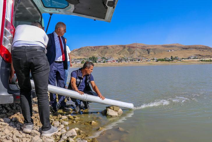 Van'da göl ve göletlere 1 milyon sazan yavrusu bırakıldı G2