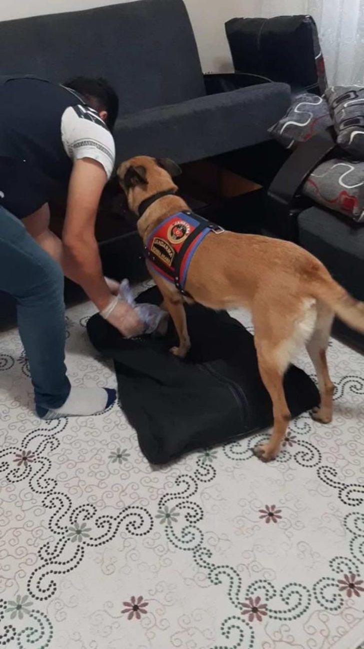 Şanlıurfa'da kamu görevlilerine yönelik eylem hazırlığındaki 4 terörist yakalandı G3