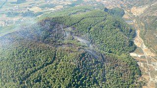 GÜNCELLEME 4 - Muğla'daki orman yangını kontrol altına alındı