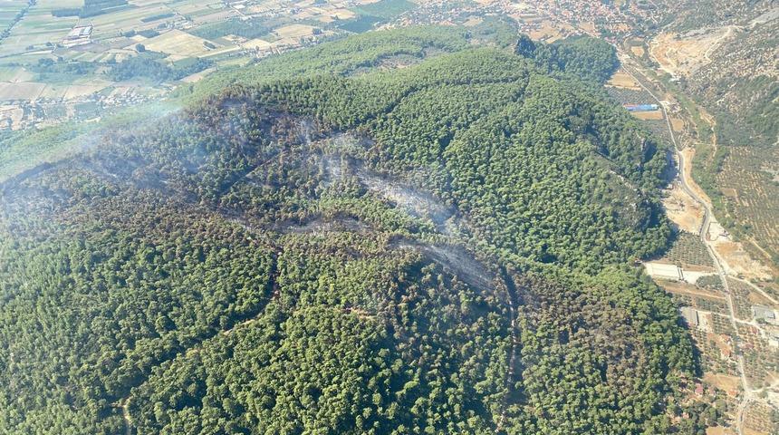 GÜNCELLEME 4 - Muğla'daki orman yangını kontrol altına alındı