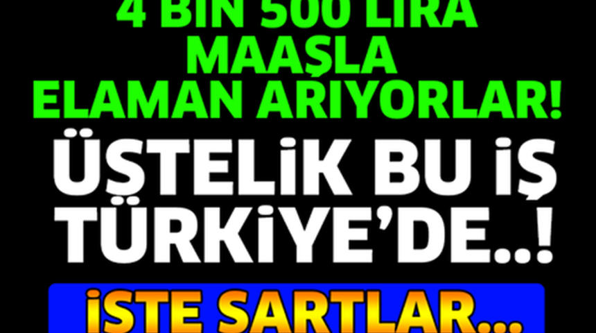 4.500 Tl Maaş'la Eleman Aranıyor İstenen Şartlar Neler?