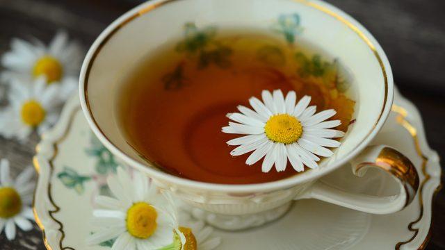 Rahat Bir Uyku İçin Papatya Çayı Nasıl Hazırlanır?