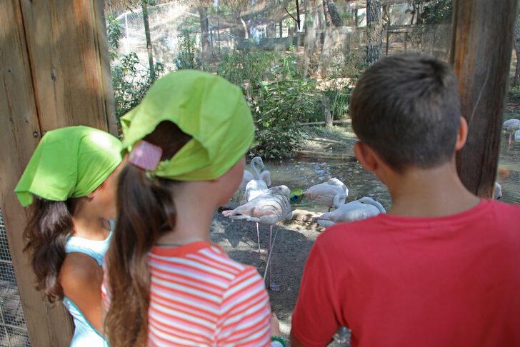 Ukraynalı çocuklar, Antalya'da hayvanat bahçesini gezdi G2