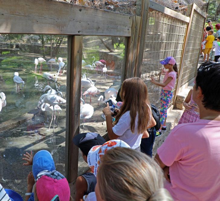 Ukraynalı çocuklar, Antalya'da hayvanat bahçesini gezdi G3