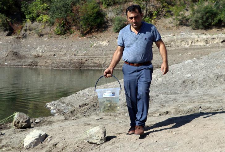 Amasya'da Ziyaret Barajı'na 100 bin sazan balığı yavrusu bırakıldı G2