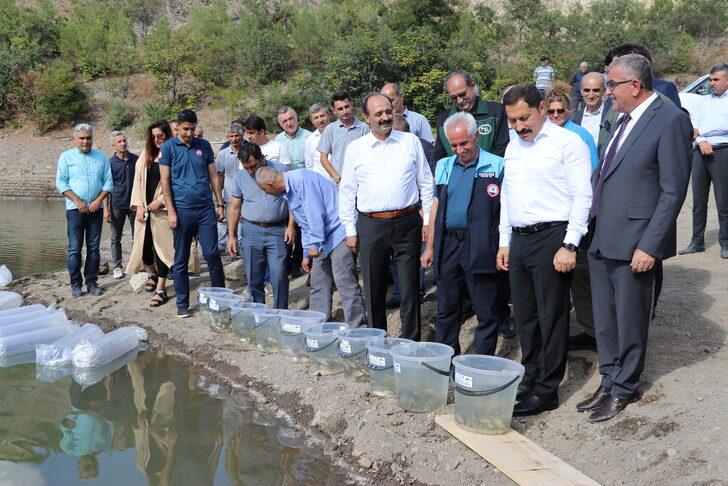 Amasya'da Ziyaret Barajı'na 100 bin sazan balığı yavrusu bırakıldı G4