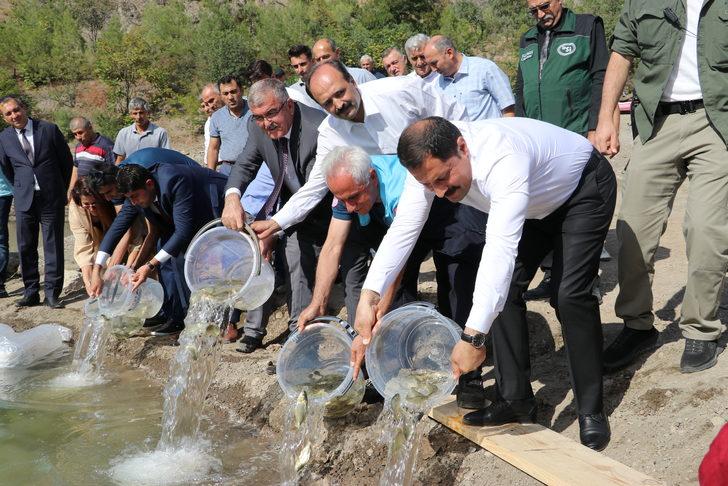 Amasya'da Ziyaret Barajı'na 100 bin sazan balığı yavrusu bırakıldı G5