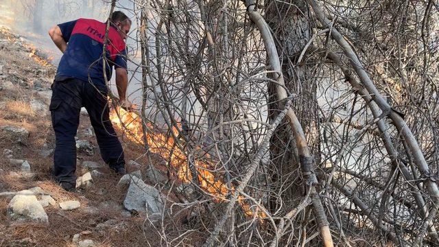 GÜNCELLEME - Adıyaman'da çıkan orman yangını kontrol altına alındı