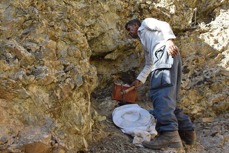 Hakkarili arıcının dağlardan güçlükle topladığı kaya balı ilgi görüyor G3