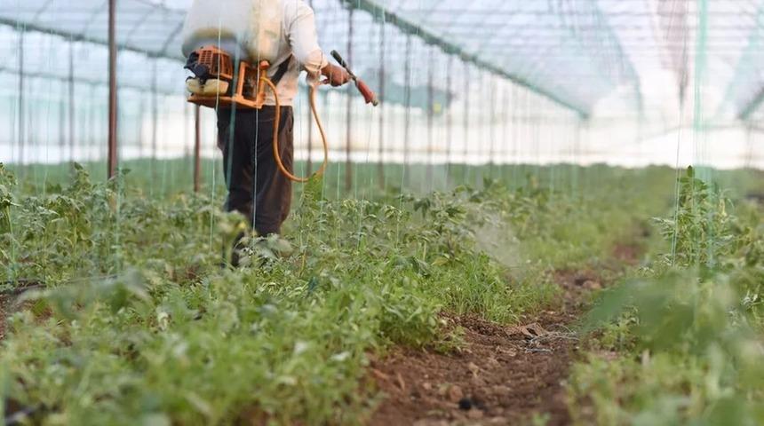 Tarım üretici enflasyonu Ağustos’ta geriledi