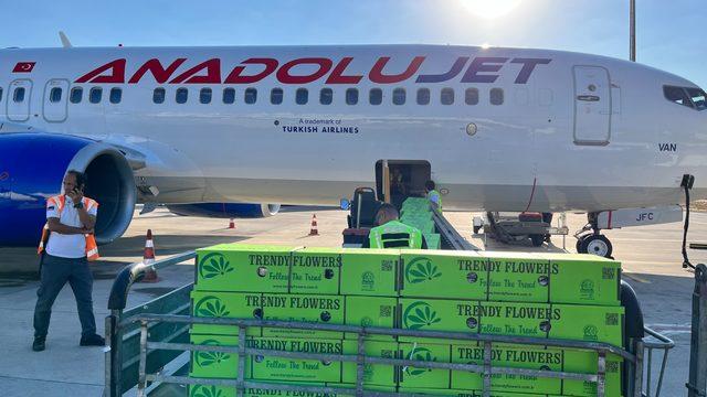 Turkish Cargo, Kraliçe Elizabeth'in cenazesi için İngiltere'ye çiçek taşıyor