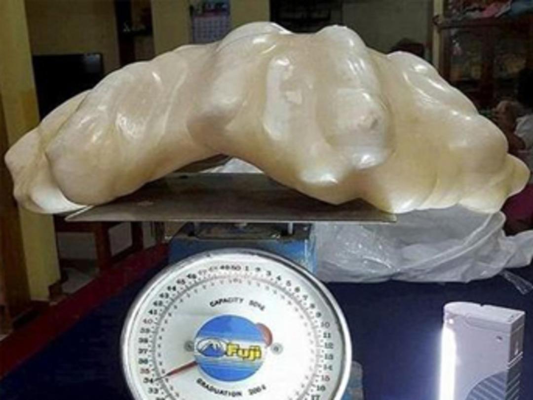 Tam 100 milyon dolar değerinde! 10 yıl totem olsun diye saklandı