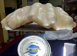 Tam 100 milyon dolar değerinde! 10 yıl totem olsun diye saklandı