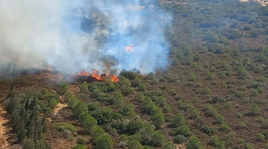 İzmir Foça'da makilikte çıkan yangına müdahale ediliyor