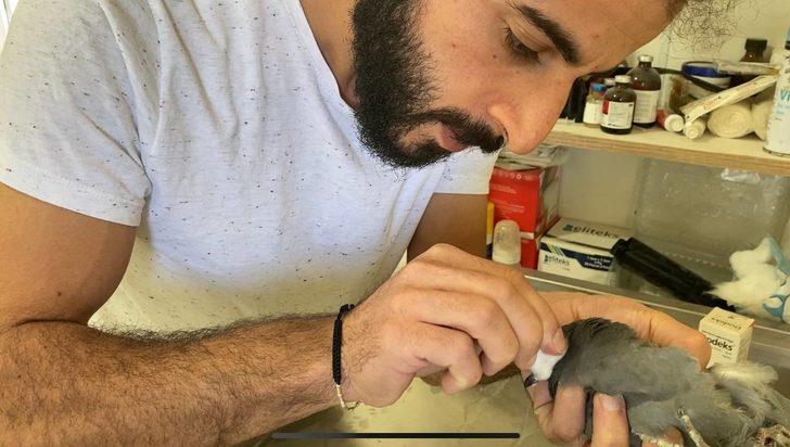 Erzurum'da gözlerinde enfeksiyon oluşan kaya güvercini tedavi edildi G3