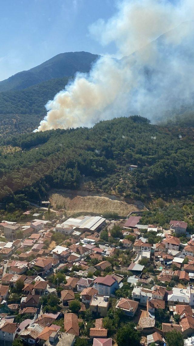İzmir Kemalpaşa'da çıkan orman yangınına müdahale ediliyor