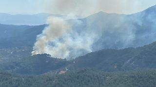GÜNCELLEME - İzmir Kemalpaşa'daki orman yangını kontrol altına alındı