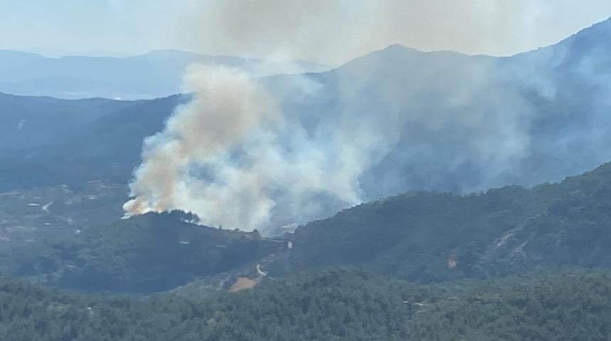 GÜNCELLEME - İzmir Kemalpaşa'daki orman yangını kontrol altına alındı