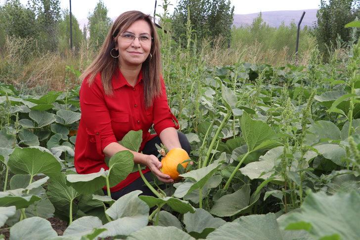 Bayburt'ta tarımsal üretim çeşitliliğini artırmak için çalışma yapılıyor G4