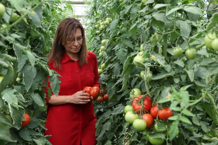 Bayburt'ta tarımsal üretim çeşitliliğini artırmak için çalışma yapılıyor G5