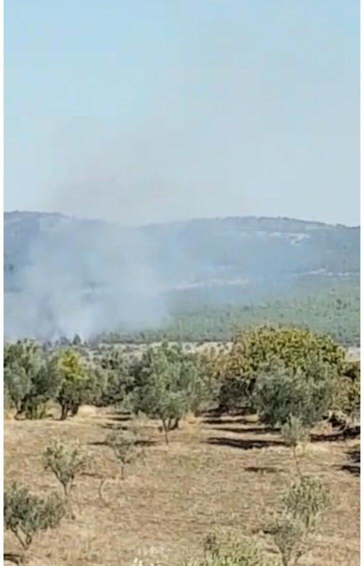 Manisa'da çıkan orman yangınına müdahale ediliyor G1