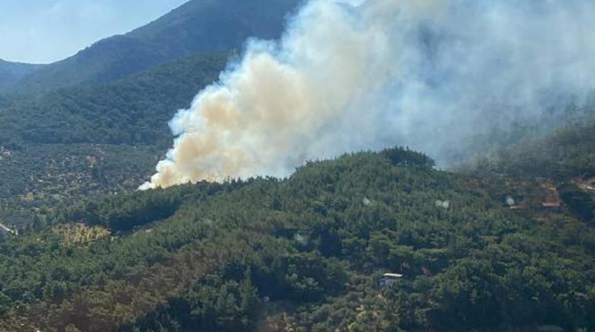 İzmir ve Manisa'da orman yangını! Havadan ve karadan müdahale ediliyor...