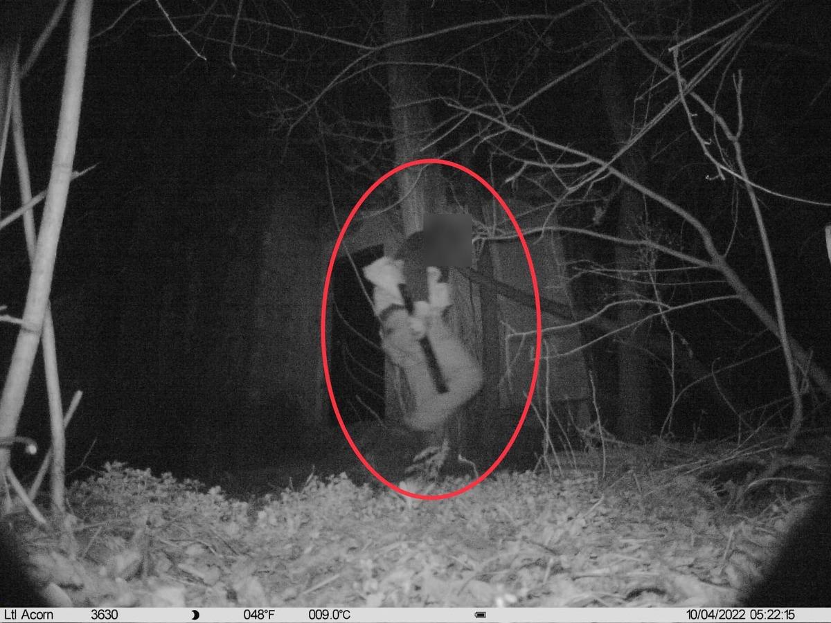 Kayseri'de jandarma fotokapan sayesinde 35 ş&uuml;pheliyi yakaladı