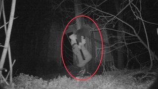 Kayseri'de jandarma fotokapan sayesinde 35 şüpheliyi yakaladı