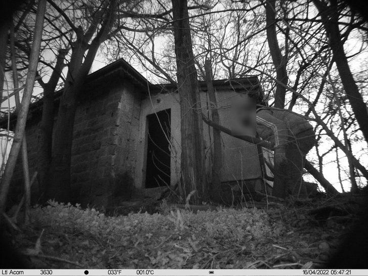 Kayseri'de jandarma fotokapan sayesinde 35 şüpheliyi yakaladı G2