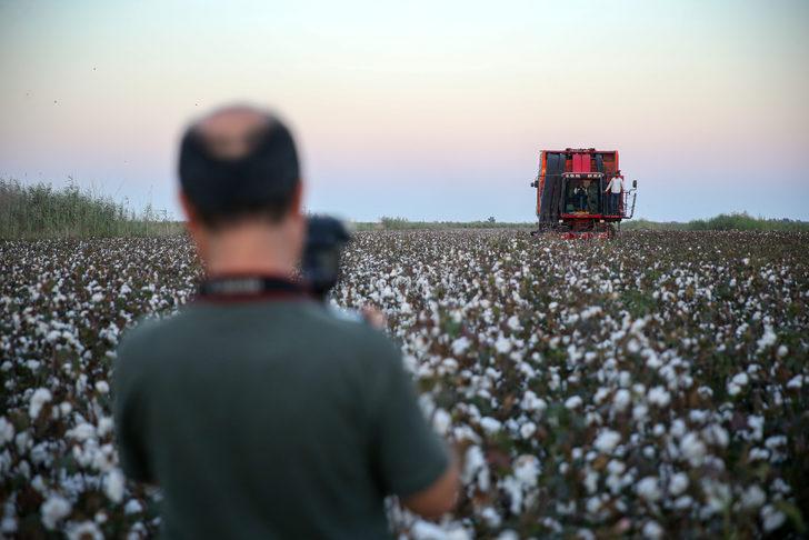 Tarım ve Orman Bakanı Vahit Kirişci, Adana'da pamuk hasat etti: G2