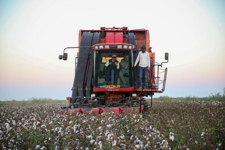 Tarım ve Orman Bakanı Vahit Kirişci, Adana'da pamuk hasat etti: G3