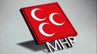 MHP'li Tuğrul Türkeş ihraç edilecek