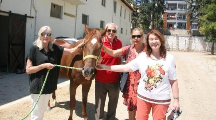Yarış atları sucuk mu oluyor?