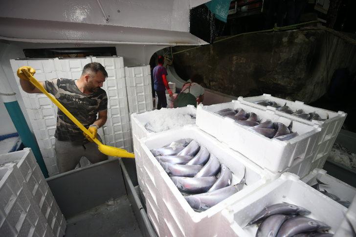 Batı Karadeniz'de palamut, balıkçıların yüzünü güldürdü G4