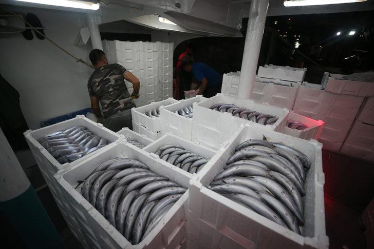 Batı Karadeniz'de palamut, balıkçıların yüzünü güldürdü G5