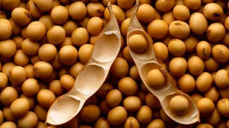 En güçlü D vitamini kaynağı! Diyabete ve tehlikeli hastalıklara karşı savaş açıyor G3